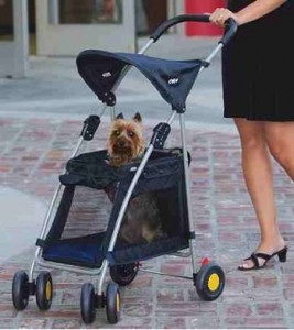 Kyjen Walk 'n Roll Dog Stroller A dog stroller can make shopping a breeze!